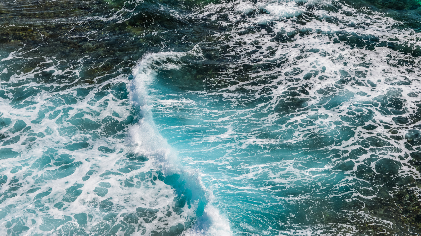 薩爾特流