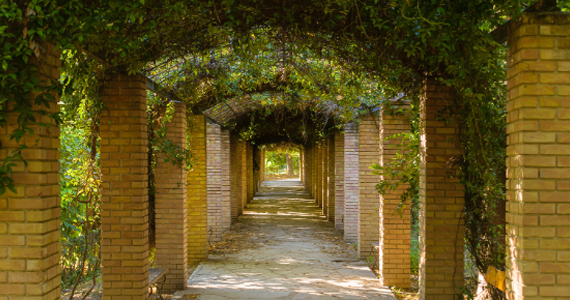 雅典國立花園